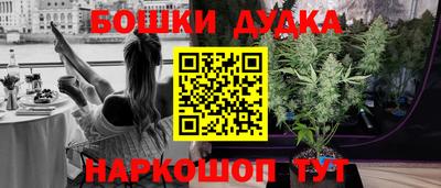 мдпв Дмитров